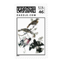 James Aubudon Rose-breasted Grosbeak Stamps