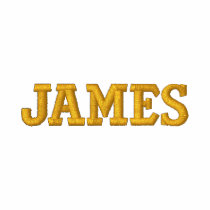 James embroidered shirts