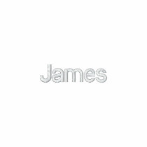 James embroidered shirts