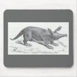 James Johonnot - Aardvark Mouse Pads