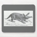 James Johonnot - Aardvark mousepads