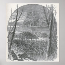James Johonnot - Beavers and Dam Print