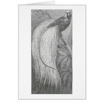 James Johonnot - Bird of Paradise cards