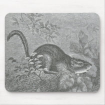 James Johonnot - Chipmunk mousepads