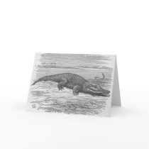 James Johonnot - Nile Crocodile cards