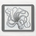 James Johonnot - Octopus Mouse Pad