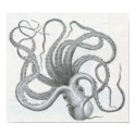 James Johonnot - Octopus posters by LisasLair James Johonnot - Octopus posters