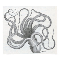 James Johonnot - Octopus posters by LisasLair James Johonnot - Octopus posters