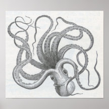 James Johonnot - Octopus Print