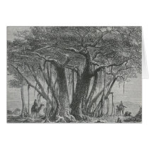 James Johonnot - The Banyan Tree Greeting Cards