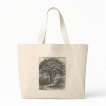 James Johonnot - The Baobab Tree bags