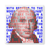 James Madison Quote Magnet