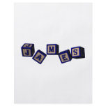 James toy blocks in blue. Great gift for loved one flyers