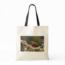 Jameson's Finch Bags