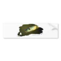 Jameson's Mamba 01 Bumper Sticker