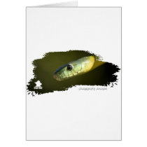 Jameson's Mamba 01 Greeting Cards