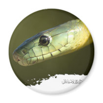 Jameson's Mamba 01 Refrigerator Magnets