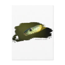 Jameson's Mamba 01 Post Cards