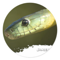 Jameson's Mamba 01 Sticker