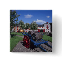 Jamesons Whisky Heritage Centre, Midleton, Pins