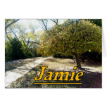 Jamie Notecards
