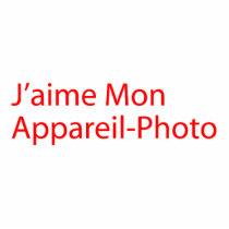 jamiephoto photo sculptures