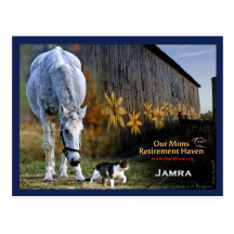 Jamra Postcard