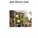 JAMROCK JAMAICA 046, Mi Yard, Jam Down nice t-shirts