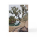 jamul ca cards