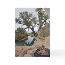 jamul ca cards