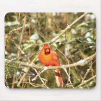 Jan 22 2007 Beautiful Male Cardinal Mouse Pad A mousepads