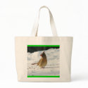 Jan_24_2007_Basement_Female_Cardinal_Closeups_Beau bags by redogpeters Jan_24_2007_Basement_Female_Cardinal_Closeups_Beau bags