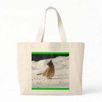 Jan_24_2007_Basement_Female_Cardinal_Closeups_Beau bags by redogpeters Jan_24_2007_Basement_Female_Cardinal_Closeups_Beau bags