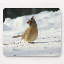 Jan_24_2007_Basement_Female_Cardinal_Closeups_Beau mousepads by redogpeters Jan_24_2007_Basement_Female_Cardinal_Closeups_Beau mousepads
