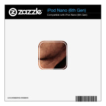 Jan Van Eyck - Portrait of Jan de Leeuw Skin For iPod Nano 6G