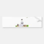 Jane Austen's Picnic Bumper Stickers