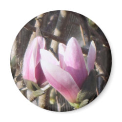 Jane Magnolia Blossom magnet