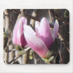 Jane Magnolia Blossom mousepad