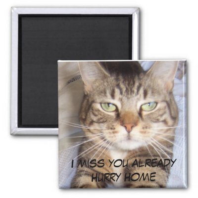 HURRY HOME I MISS YOU ALREADY Fridge Magnets by HappyCatDesign
