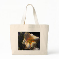 Janice's Lilly bags