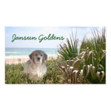 Jansun Goldens Business Card