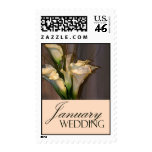 January Calla lily wedding postage