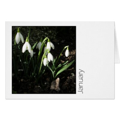 January Card by ickledink