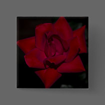 January Rose buttons