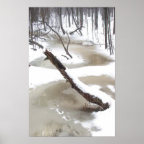 January Thaw Posters