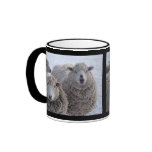 January Two Sheep Faces Coffee Mugs
