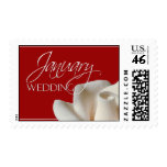 January White Wedding Rose Stamp