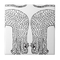 Janwar Ceramic Tiles