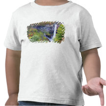 Japan, Nikko. Kegon waterfall of Nikko, a UNESCO T Shirt