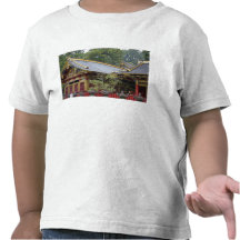 Japan, Nikko. Toshogu Shrine and mausoleum in 2 Tee Shirt